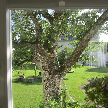 Apartment Am Apfelbaum Reutlingen Eksteriør bilde